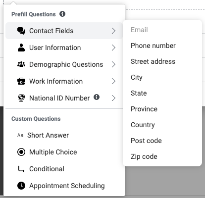 Questions and details you can request in a lead form